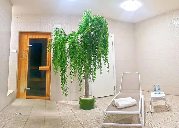 Hotel Amaryllis Swarzedz