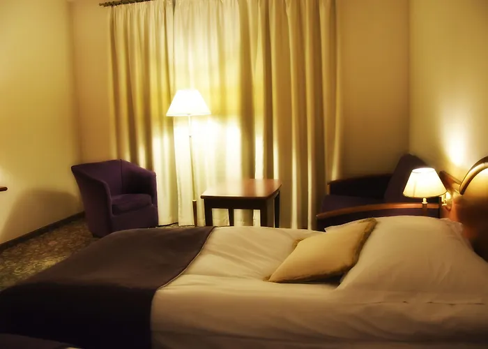 Hotel Amaryllis Swarzedz